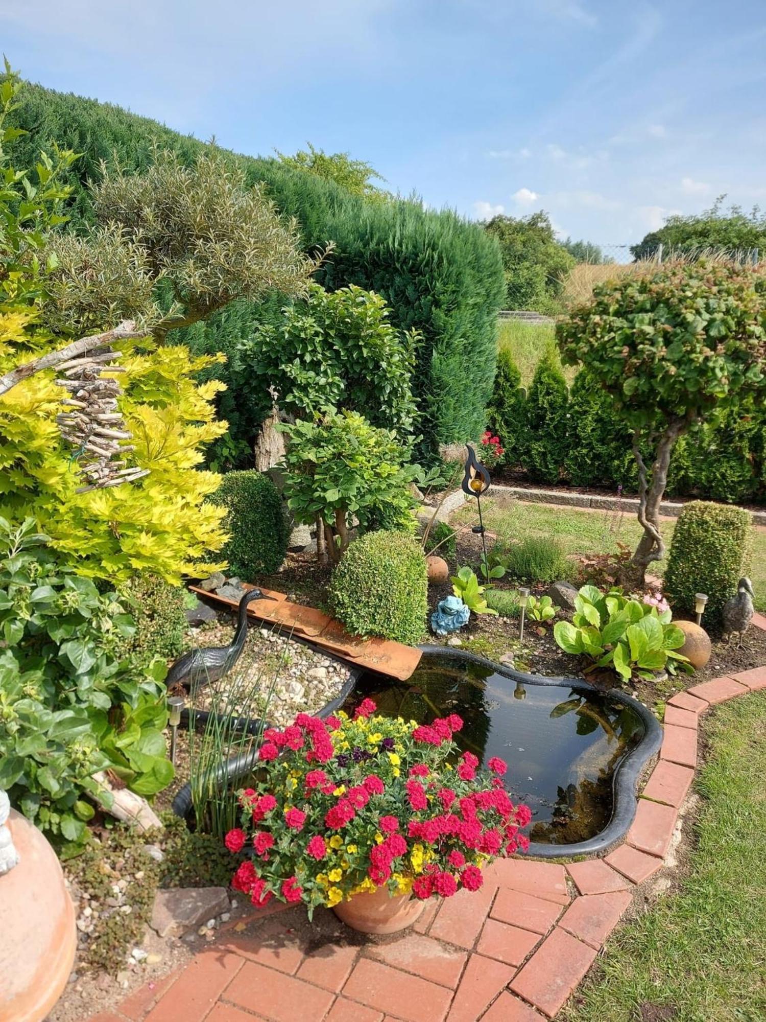 Direkt Am Wasser ""Kuestenperle"Mit Meerblick Und Sauna Hohenkirchen  Exterior photo